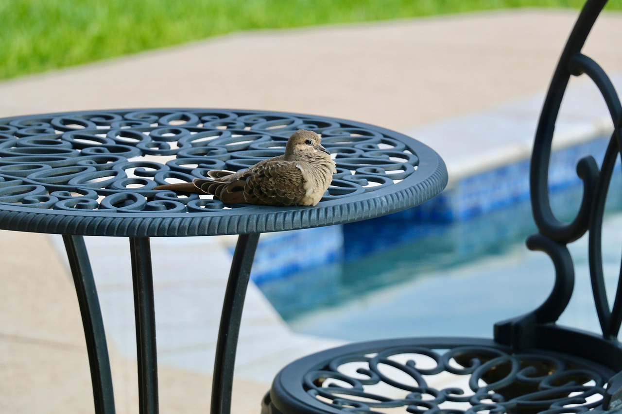 Beneficios de tener una piscina