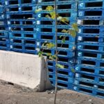 Plantando árboles centro de distribución Nestlé