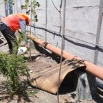 Plantando árboles centro de distribución Nestlé