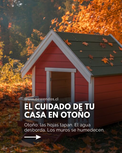 El otoño no perdona, pero tu casa puede llegar impecable al invierno si sigues estos simples consejos.

¿En qué zona está tu casa? ¿Bosque, lago, ciudad? 

#otoño #invierno #casas #arquitectura