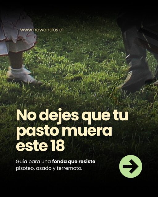 Tu pasto no va a sobrevivir a la fonda en casa este 18 de septiembre 🇨🇱
Si vas a celebrar las Fiestas Patrias en casa, el pasto tradicional muere con 20 personas bailando cueca. Les dejamos 3 alternativas reales de paisajismo resistente que usamos en Newendos:
1. Chepica: la más pisoteada de Chile
2. Lippia repens: la que no se corta y no hace barro
3. Festuca: verde todo el año aunque hiele
En el carrusel les dejamos comparativa de riego, sol y mantención + cómo instalarlo antes del 18.
Guardalo para tu proyecto de paisajismo dieciochero.
#paisajismo #fiestaspatriaschile #newendos #jardines